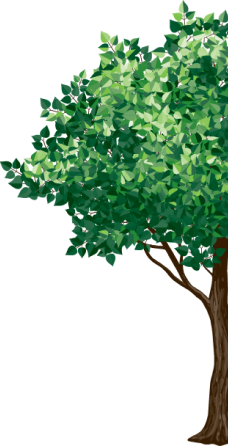tree on the banner